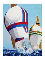 America's Cup' Collectable Print - David Lockhart